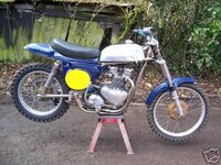 Simon's Triumph Metisse.jpg