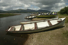 IMG_2161.jpg