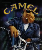 camel_motorcycle.jpg