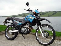 Serow.jpg