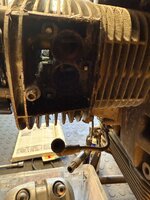 IMG_3846.jpeg
