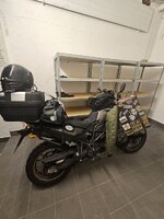 20251009_055451.jpg 20251009_055451.jpg