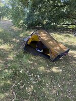 IMG_2345.jpeg