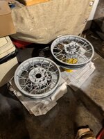 IMG_6516.jpeg