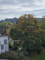 20251010_151448.jpg