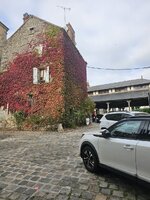 20251010_154635.jpg