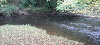 20251010_173121.jpg