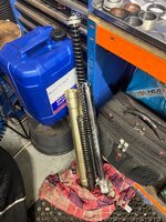 IMG_1623.jpeg IMG_1623.jpeg