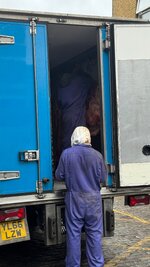 IMG_5613.jpeg