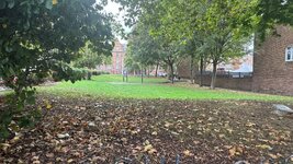 IMG_5666.jpeg