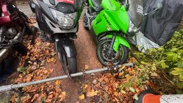 IMG_5672.jpeg
