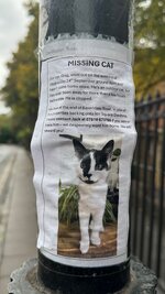 IMG_5702.jpeg