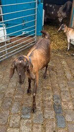 IMG_5707.jpeg