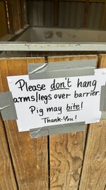 IMG_5716.jpeg