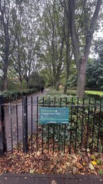 IMG_5722.jpeg