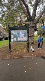 IMG_5734.jpeg