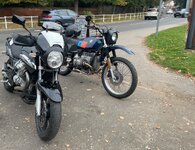 IMG_3518.jpeg