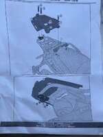 IMG_5558.jpeg