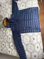 IMG_2356.jpeg