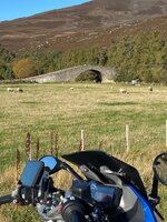IMG_6871.jpeg