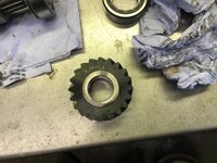 IMG_8724.jpeg