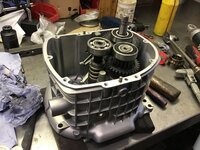 IMG_8727.jpeg
