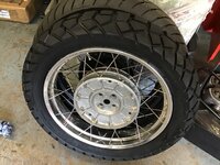 IMG_8735.jpeg