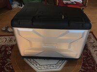 IMG_0257.jpeg