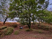 IMG_6370-1.jpg