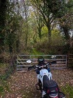 IMG_6358-1.jpg