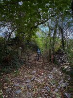 IMG_6360-1.jpg