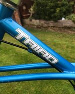 IMG_7185.jpeg