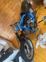IMG_3541.jpeg IMG_3541.jpeg