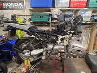 IMG_3511.jpeg
