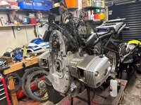 IMG_3503.jpeg