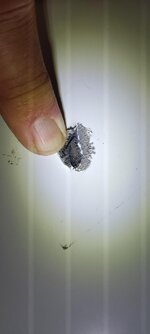 IMG_7558.jpeg