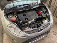 IMG_4403.jpeg