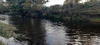 20251023_162857.jpg