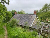 IMG_6824.jpeg IMG_6824.jpeg