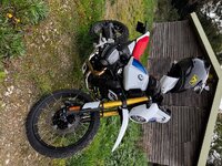IMG_1484.jpeg