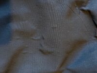IMG_2717.jpeg
