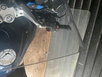 IMG_0105.jpeg
