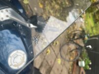 IMG_0107.jpeg