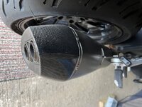 IMG_3655.jpeg