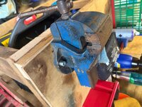 IMG_7374.jpeg