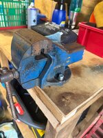 IMG_7374.jpeg