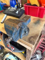 IMG_7371.jpeg
