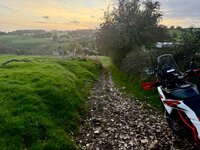 IMG_1600.jpeg