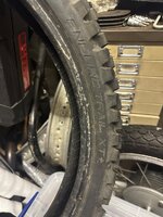 IMG_3768.jpeg