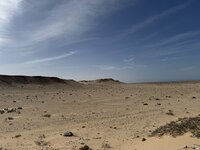 IMG_0934.jpeg